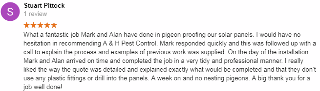 hemel hempstead pigeon control