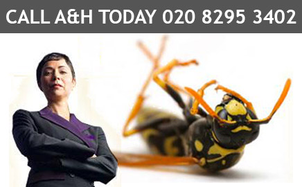 Pest Control Bromley