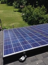 Pigeons Under Solar Panels 🕊️ UK Solar Panel Bird Proofing ...